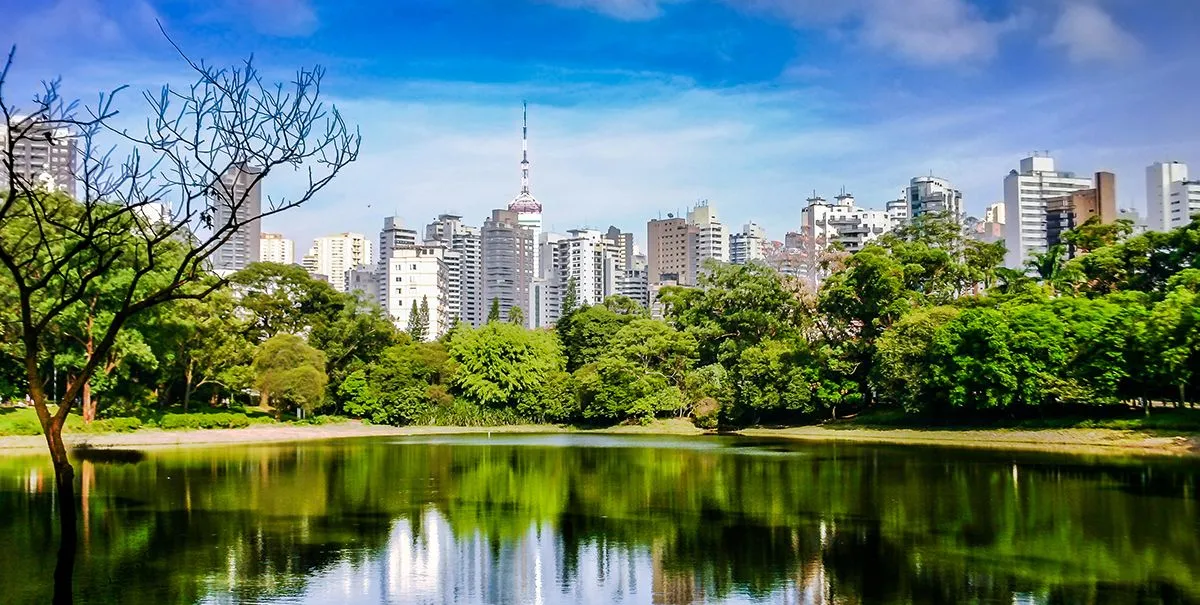 Empresa de mudanças na Aclimação-SP